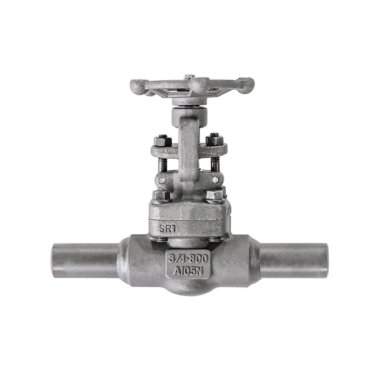 Kon Pa Komprondé E Valve di Eksagur Mikro?浙江橙无敌阑清